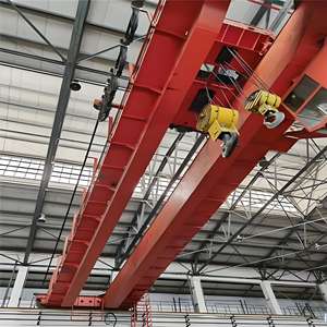 تخصيص 5ton الأوروبي شعاع مزدوج أو المحمول تعليق المسار والعتاد المحرك الأساسية المستخدمة رفع البناء - Product Image 6