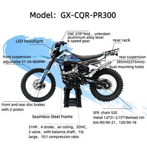 Motocicleta Todoterreno GX-CQR-PR300 de 21 HP, Transmisión de 6 Velocidades, Motor Monocilíndrico de 4 Tiempos Refrigerado por Aire, Frenos de Disco Dobles - Product Image 3