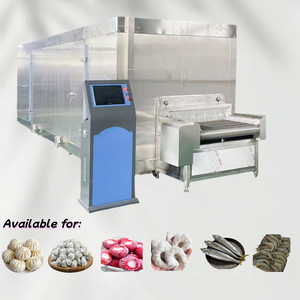 Thương Mại Trái Cây Đóng Băng Máy Đa Chức Năng Hải Sản Tủ Đông Đông Lạnh Đường Hầm Thực Phẩm Đóng Băng Chế Biến Sâu - Product Image 4