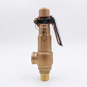 Válvula de seguridad para caldera Bowlling L3-L PTFE Zero con asiento de latón forjado, tamaño de puerto de 1/2"-2", aplicación general, regulación de gas y vapor, ISO - Product Image 1
