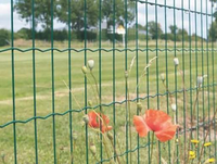 Grillage galvanisé pour clôtures de jardin et de ferme