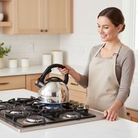 Bouilloire sifflante en acier inoxydable de 2,5 L avec poignée froide au toucher, pour tous les types de cuisinières, vente en gros d'usine