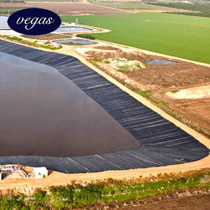 100% Virgin 1,0mm 1,5mm <span class=keywords><strong>HDPE</strong></span> Geomembrane Pond <span class=keywords><strong>Liner</strong></span> para Proyecto de paisaje de lago artificial - Product Image 3