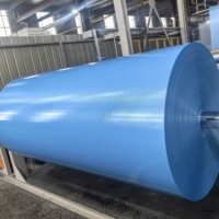 Tissu enduit PVC haute résistance pour le marché américain, ignifuge NFPA 701, pour rideaux industriels et écrans de soudage