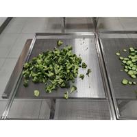 Groothandel Hete Shandong-Gemaakt 2300Mm Breedte Fruit En Groenten Droogmachine 20kw ~ 30kw Voor Voedselfabrieken