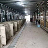 Nichoir d'intérieur en plastique pour veaux avec abreuvoirs pour l'équipement d'élevage laitier, enclos pour veaux, abri pour moutons et chèvres, abri pour bétail