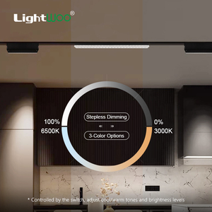 Projecteur magnétique directionnel réglable haute puissance 30W pour <span class=keywords><strong>vitrine</strong></span> de <span class=keywords><strong>magasin</strong></span>, salle d'exposition et éclairage d'accentuation intérieur - Product Image 2
