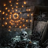 Guirlande lumineuse décorative d'Halloween avec araignées et chauves-souris, guirlande lumineuse d'extérieur en forme de toile d'araignée pour Halloween, décoration extérieure