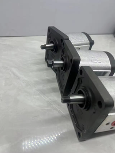 ผู้ผลิตปั๊มเกียร์ไฮดรอลิก รุ่น GP1 <span class=keywords><strong>GP2</strong></span> GP3 ซีรีส์ GP3-0264 R97F/20N ปั๊มเกียร์ไฮดรอลิก - Product Image 4
