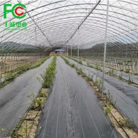 Barrière anti-mauvaises herbes autour des arbres fruitiers, tapis anti-mauvaises herbes en PP tissé pour supprimer les mauvaises herbes
