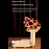 Séchoir à chaussures électrique portable, éliminateur d'odeurs, avec minuterie et arrêt automatique, design pliable pour l'hiver froid et humide