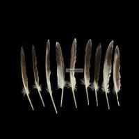 Plume de canard naturelle grise pour artisanat d'art bricolage coiffure chapeau cheveux Costume accessoire carnaval fête mariage maison Halloween décor
