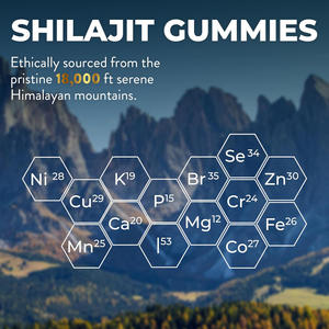 Solilan Private Label HALAL Bio 3-in-1 Himalaya Shilajit Extrakt Gummi zucker frei für Schwangere Ashwagandha Chaga - Product Image 2