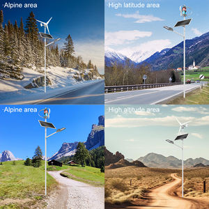 Motor de turbina de energía híbrida solar eólica con Control de carga Panel solar Diseño libre Cabezal de luz Proyecto personalizable Luces de calle - Product Image 3