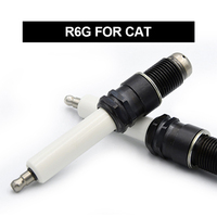 Fournisseur direct d'usine TORCH Bougie d'allumage à gaz naturel à haute isolation R6GC1 pour groupe électrogène à moteur 6HH1