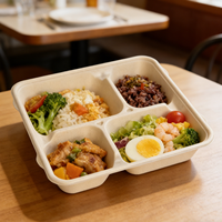 Barquettes à lunch jetables en bagasse de canne à sucre naturelle, 4 ou 5 compartiments, biodégradables et compostables, assiettes en papier