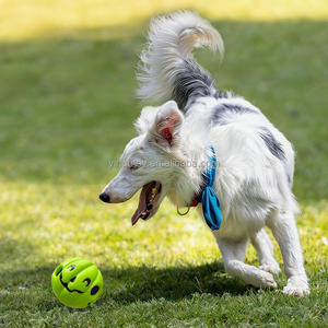 <span class=keywords><strong>ลูก</strong></span>บอลฝึกสุนัขยี่ห้อ Yinuo ของเล่นเคี้ยวมีเสียงสำหรับออกกำลังกายและแก้ไขพฤติกรรมที่ไม่พึงประสงค์ ลายสีเขียว - Product Image 3