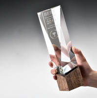 Trophée en cristal créatif avec base en bois, cadeau d'affaires, trophée en cristal vierge, gravure laser personnalisée