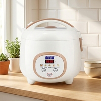 Cuiseur à riz électrique intelligent multifonction 1,5 L à faible teneur en sucre avec minuterie numérique et fonctions prédéfinies pour la cuisson à la vapeur du riz, des œufs et des soupes