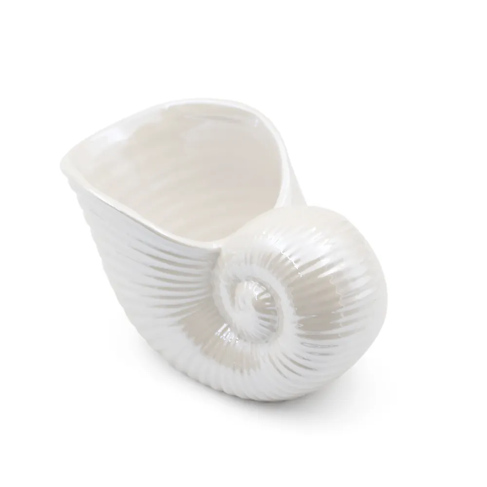 Vaso succulento in ceramica a forma di conchiglia a forma di conchiglia con design creativo personalizzato stile oceano