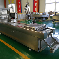 Multifunctionele automatische machine voor het vacuümverpakken van gedroogde dadels met thermoforming en stretchfolie