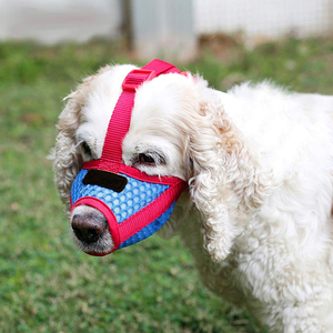 Bozales de Nailon para Mascotas, Transpirables, Ajustables, para Perros y Gatos, Venta Caliente de Fábrica - Product Image 5