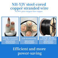 Cable de alimentación blindado ignífugo con funda de polietileno con aislamiento XLPE de núcleo de cobre de 0,6/1kV de/1