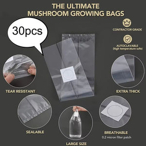 60um Autoclavable Fuelle 0,2 micras Filtro Transpirable PP Cultivo de hongos Sustrato de crecimiento Bolsas de desove - Product Image 4