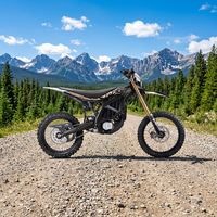 Moto électrique Sur Ron 74v 21kw Ultra Bee, Vélo tout-terrain électrique 74v 55ah à transmission centrale Ultra Bee, Moto électrique 2025 Surron Ultra Bee