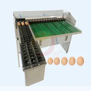 Automatic Chicken Egg Weight Sorter Classify Size Small Scale Grader Sort Egg Grade Machine by Weight