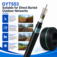Câble à fibre optique GYTS53, blindé pour extérieur, anti-rongeurs, avec bande d'acier, pour conduit souterrain, G652D G657A1