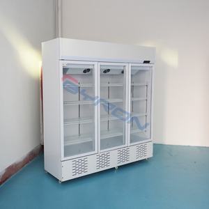 Réfrigérateur commercial à <span class=keywords><strong>porte</strong></span> vitrée simple, vitrine de présentation pour boissons, réfrigérateur vertical à portes vitrées à vendre - Product Image 5
