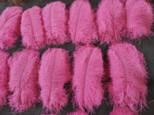 Eco-friendly di alta qualità promozionale del bambino <span class=keywords><strong>piume</strong></span> di struzzo crudo <span class=keywords><strong>in</strong></span> piuma colorati costumi di carnevale ali di <span class=keywords><strong>piume</strong></span> sexy - Product Image 3
