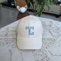 Gorra de Béisbol de Algodón Premium con Bordado 3D, 6 Paneles, Logotipo Personalizado, Perfil Alto, Uniforme Deportivo, Venta al Por Mayor, Cierre de Velcro, para Hombre
