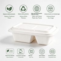 Boîte à lunch jetable écologique en bagasse de canne à sucre, blanche, à double compartiment, pour la préparation de repas, à emporter, pour salades, vente en gros
