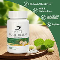 Capsules de feuilles de mûrier blanc 3000mg en gros, OEM, ODM, marque privée, sans OGM, sans gluten, complément alimentaire à base de plantes pour le soutien immunitaire