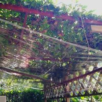 Bâche en PVC robuste bâches transparentes oeillets housse de protection résistante aux intempéries plantes de balcon tissé tente en plastique étanche à la pluie