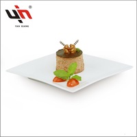 Assiette carrée en céramique sans plomb, vaisselle en porcelaine de haute qualité, vaisselle de qualité alimentaire pour les marchés européens et américains