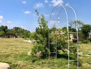 Clips métalliques pour plantes de jardin, panneaux de clôture en <span class=keywords><strong>bambou</strong></span>, banc, lit de culture surélevé, <span class=keywords><strong>pergola</strong></span>, treillis noir pour plantes grimpantes - Product Image 4