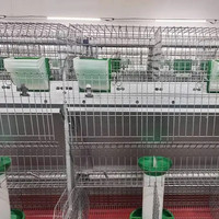 Cage à lapins, cage de reproduction, 24 compartiments, cage à lapins pour femelle
