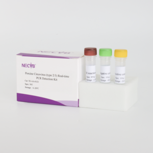 <span class=keywords><strong>PCV2</strong></span>/PCV3 Dual Fluorescent PCR <span class=keywords><strong>Kit</strong></span> - 50 T/Box Vet <span class=keywords><strong>Diagnostic</strong></span> Réactifs ISO Certifié - Product Image 6