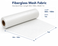 Toile en fibre de verre transparente à haute résistance à la traction pour la construction extérieure - Écologique et résistante aux alcalis