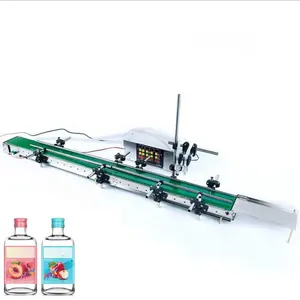 fully automatic conveyor belt assembly line double-head liquid dispensing and filling machine intelligent induction