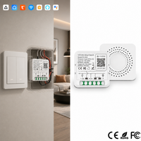 Module d'interrupteur vocal WiFi YDD Alexa Google Home Tuya Matter 16A avec minuterie pour projets commerciaux et distribution en gros