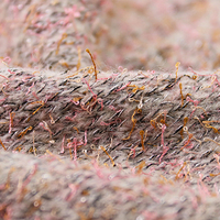 1/7.5NM 23%Acrylic 2%Wool 1%MET 72%Polyester 2%Spandex Factory Stock of Various Blended Yarns and Fancy Yarns