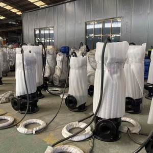 Pompe submersible électrique en fonte pour traitement des eaux usées avec joint mécanique 100m³/h - Product Image 2