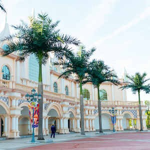 Palmera <span class=keywords><strong>Artificial</strong></span> de Fibra de Vidrio Personalizada, Resistente a los Rayos UV, Ignífuga, Palmera de Coco Hawaiana Real, Decoración de Paisajes para Hoteles - Product Image 6