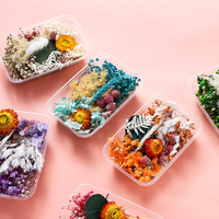 INTODIY Bunga Kering Tekan Terlaris Campuran Acak Alami untuk Kerajinan Resin Epoksi DIY Bahan Seni Kuku