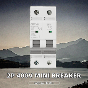 Interruptor de Circuito Eléctrico Mini AC de 2 Polos, 400V, Cobre, 6kA, 63-125A, GYM9-125AC, para Riel DIN - Product Image 2