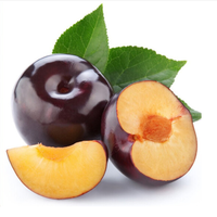Voedingsmiddelkwaliteit, hoge zuiverheid, grote voorraad, zwart brin fruit sap poeder, zwart brin fruit poeder, volledig wateroplosbaar